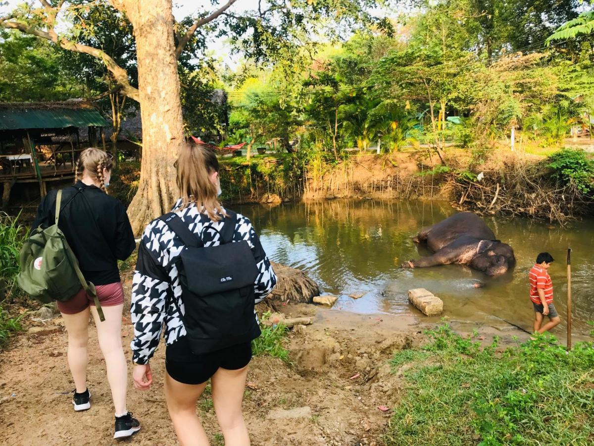 Dambulla Tourist Resort エクステリア 写真